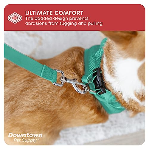 Step in Dog Harness (Small / Bermuda Blue)