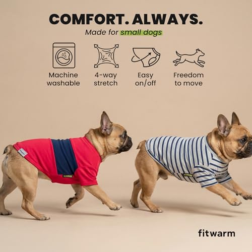 3 Pack Color Block Striped Dog Shirt (XX-Large / Red-Blue-Grey)