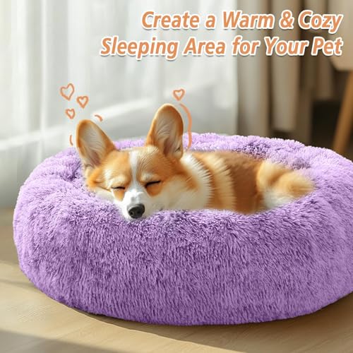 Calming Dog Beds Large Sized Dog (Purple / 36.0"L x 36.0"W x 8.0"Th)