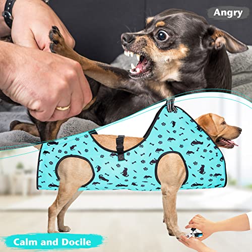 Dog Grooming Hammock (XXL for Giant Dogs 120LB / Cyan)