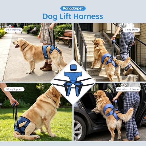 Dog Lift Harness (Blue / XL(Waist:24-29",Weight:55-77lb))