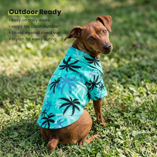 Hawaiian Coconut Palm Dog Shirt (Large / Coconut Palm)