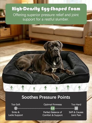 Orthopedic Dog Bed with Sides (53.0"L x 42.0"W x 8.0"Th / Black)