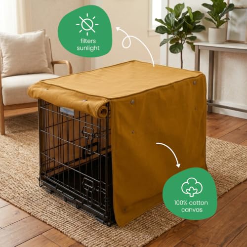 Fast Car Dog Crate Cover (Fast Car / 30.0"L x 19.0"W x 21.0"H)