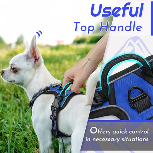 Dog Harness for Small Dogs (X-Small / Blue)