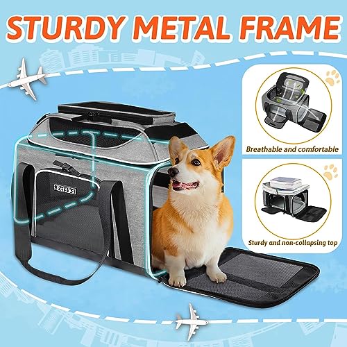 Top Expandable Small Pet Carrier 18"x13"x9.5" Airline Approved (18.0"L x 13.0"W x 9.5"H / Grey)