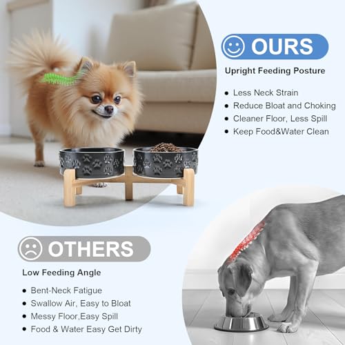 Elevated Dog Bowls Ceramic (5.1 in - 1.7 cups / Paw Black)