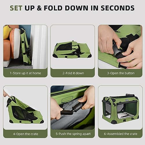 Large Cat Carrier for 2 Cats (Green / 24.0"L x 17.0"W x 17.0"H)