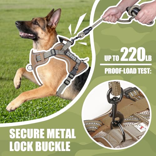 Dog Harness and Leash Set for X (Khaki / XL)