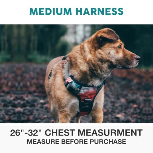Embark No Pull Dog Harness (M / Santa Monica)