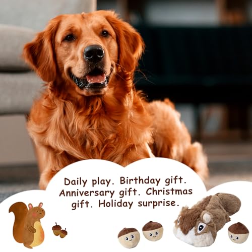 Squeaky Hide and Seek Dog Toys for Small and Medium (Pine Cone)