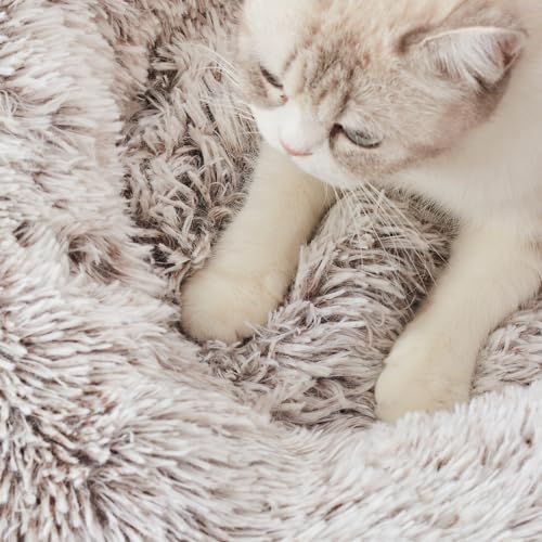 Western Home Calming Donut Cat Bed Small Dog Bed Washable (White Khaki / 20.0"l x 20.0"w x 6.0"th)
