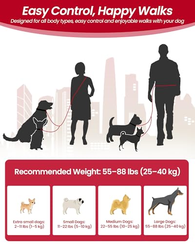 3-in-1 Double Dog Leash, Hands-Free Convertible Leash for 1 or 2 Dogs (Black)