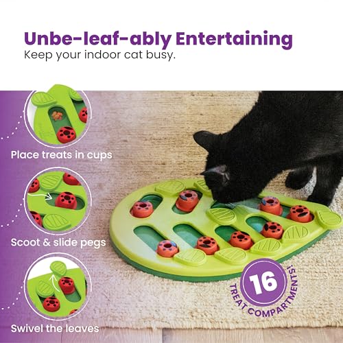 Nina Ottosson Buggin’ Out Puzzle & Play Cat Toy Treat Puzzle (Buggin Out / Treat Puzzle)
