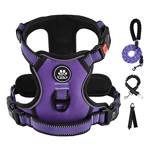 No Pull Dog Harness for Small Dogs (Purple / Small)