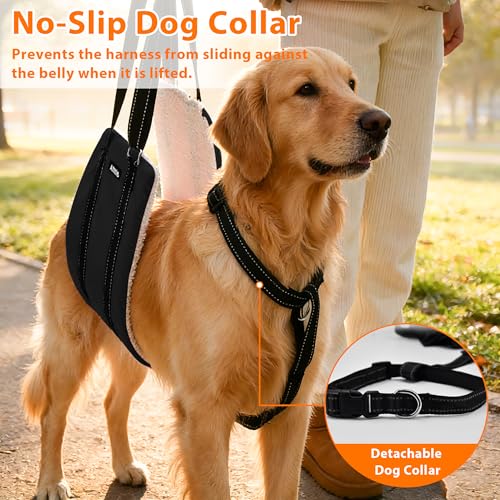 Dog Lift Harness for Senior (Black / L)