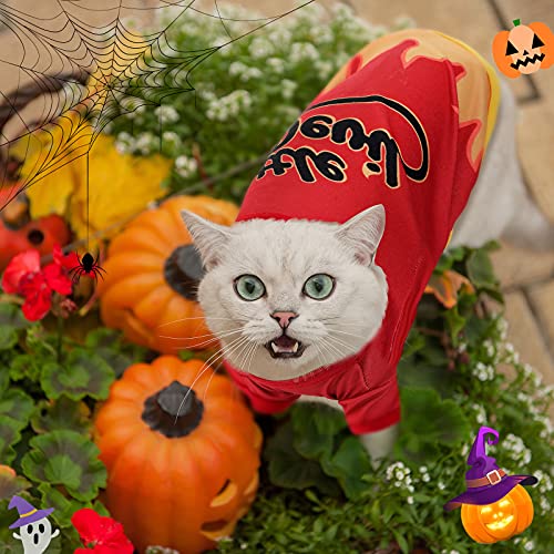 5 Pcs Halloween Dog Shirts Pumpkin Ghost Costume (Medium)