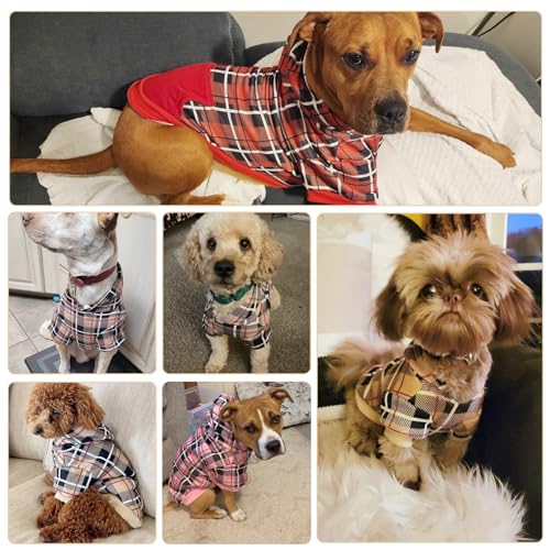 Plaid Dog Hoodie (Medium / Beige)
