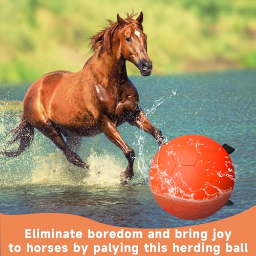 Herding Ball for Dogs (Herding Ball / 25 Inch)