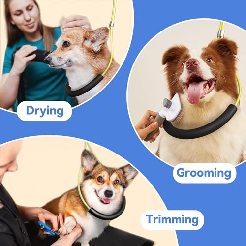 Dog Grooming Arm for Table