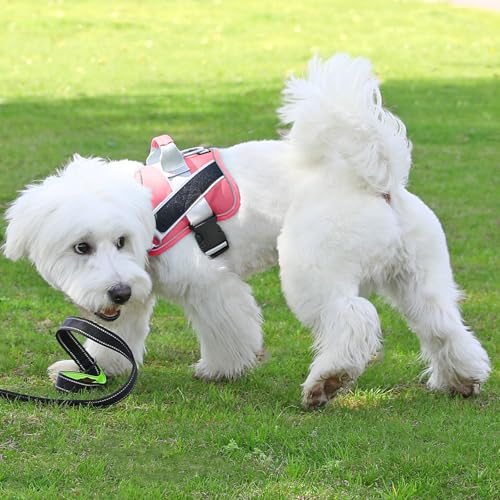 Dog Harness No (Medium (Pack of 1) / Camellia)