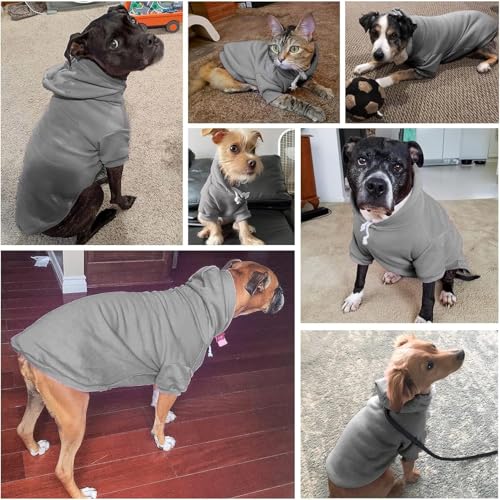 Dog Hoodie for Small Medium Dogs (Grey(Plain) / Small/Medium (All Breed Sizes))