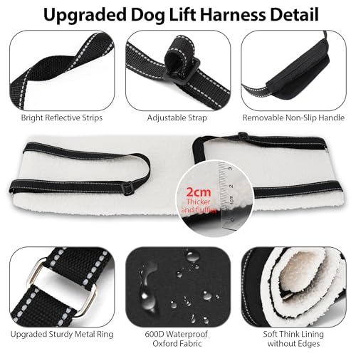 Adjustable Dog Sling Dog Lift Harness Hind Leg Support (Black / M)