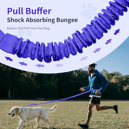 Hands Free Dog Leash by Kazazoo (BLUE Bungee / M)