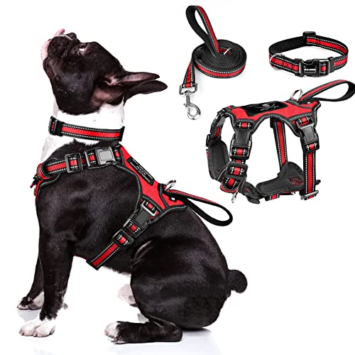 Pet Harness Collar and Leash Set (Medium / Red)