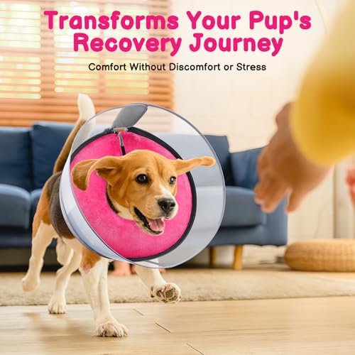 2-in-1 Inflatable Dog Donut Collar for Large Dogs After Surgery (Hot Pink / XXL)