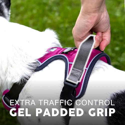 Embark No Pull Dog Harness (XL / Pink)