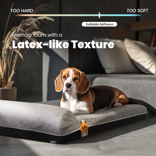 Orthopedic Dog Beds for Large Dogs (40.0"L x 25.0"W x 5.5"Th / Slate Gray)