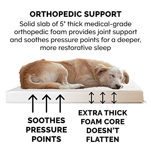 Orthopedic Dog Bed for Large Dogs w (Jumbo Plus / Minky Cream)