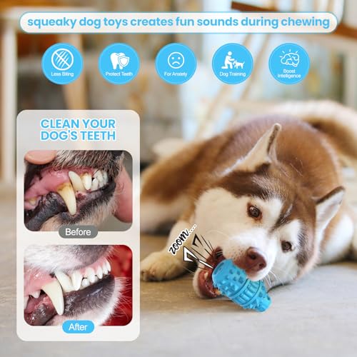 Natural Rubber Squeaky Dog Chew Toy for Medium Aggressive Chewers (Azure / Medium（For 30–55 lb dogs）)