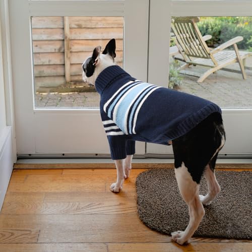 Dog Striped Knitted Sweater (Medium / Blue)