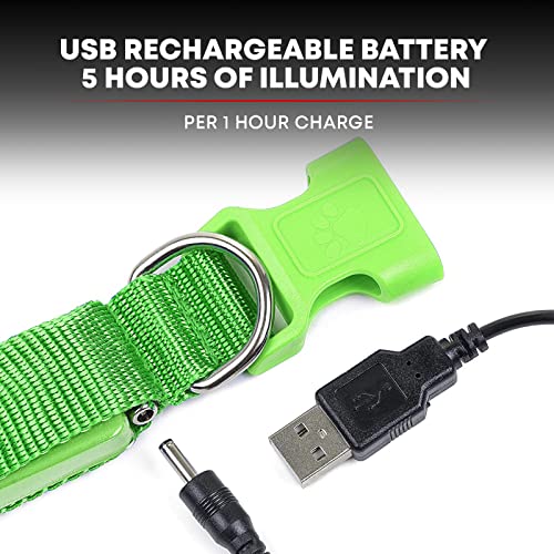 LED Light Up Dog Leash (6 Feet / Neon Green)