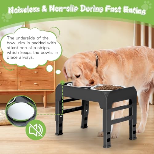 Elevated Bowls with Adjustable Heights (Black / Medium dogs)
