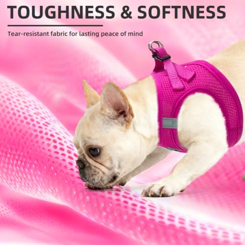 Dog Harness Collar and Leash Set No Pull for Small Medium Sized (Solid DeepPink / S (CHEST 14.5"-16"))
