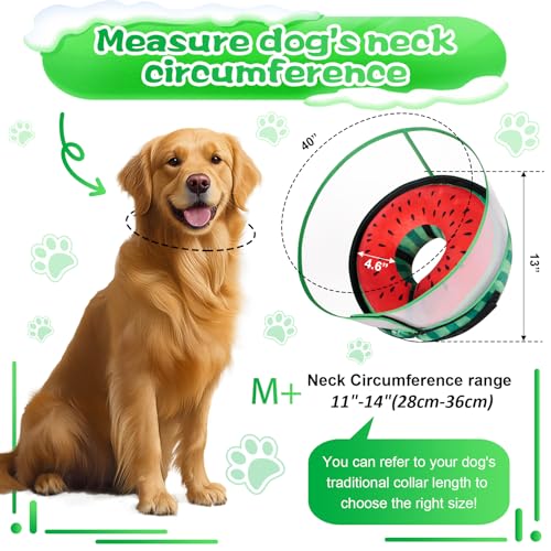 Inflatable Dog Cone Collar with Detachable Enhanced Anti (Watermelon / M+（neck 11"-14"）)
