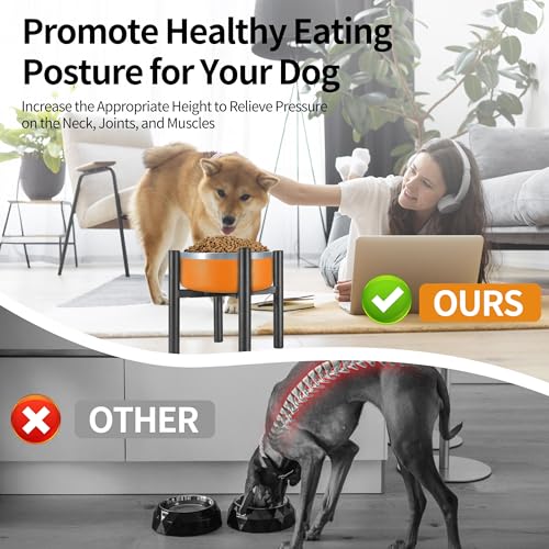 Lifted Dog Bowl Stand (Small-HIGH-8IN)