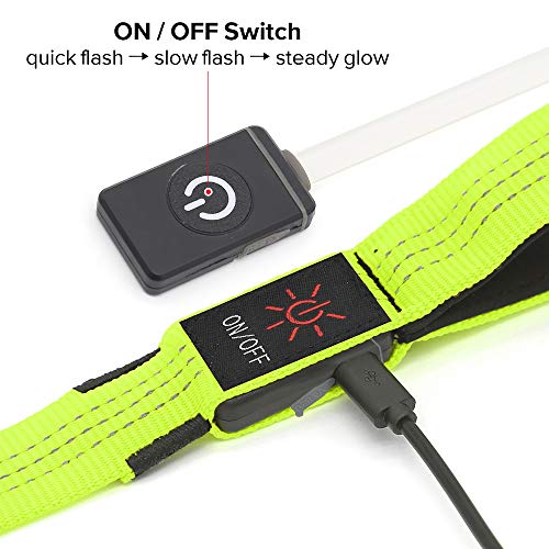 LED Dog Leash (GreenⅢ)