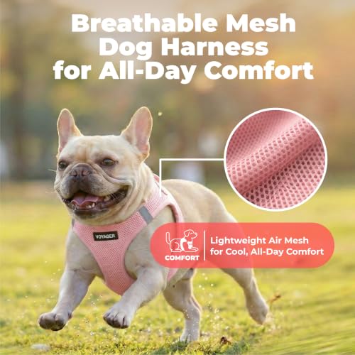 Voyager Step in Air Dog Vest Harness (Pink / XXXS (Chest: 11 - 12"))