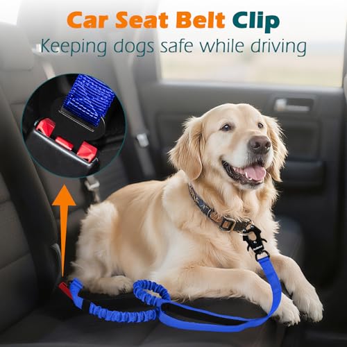 Heavy Duty Tactical Dog Leash (Blue)