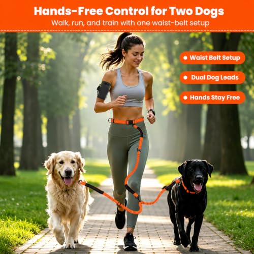 Hands Free Double Dog Leash (Orange)