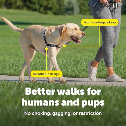 Easy Walk Harness (Medium / Black/Silver)
