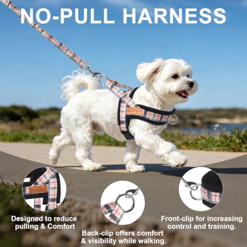 Small Dog Harness and Leash Set (Buffalo Beige / S: Chest 17.5"-22")