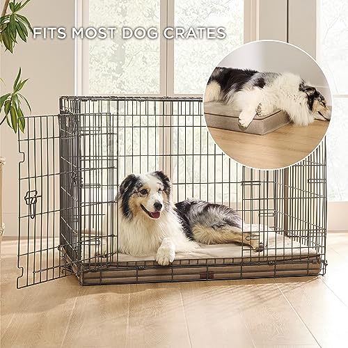 Memory Foam XL Dog Bed (41"L x 29"W x 3.5"Th / Khaki)