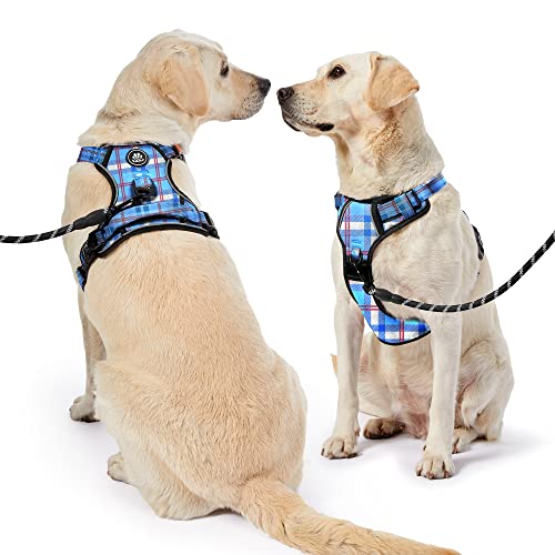 Dog Harness for Medium Sized Dog (Checkered Blue / Medium)