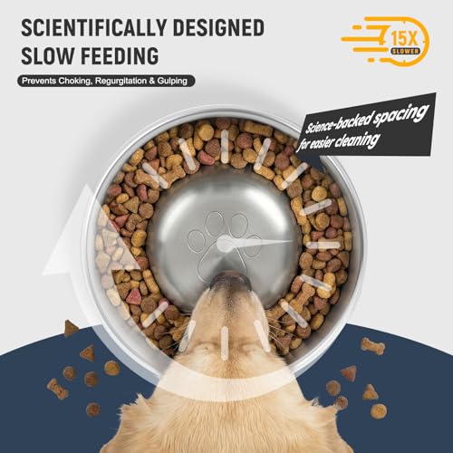 Dog Slow Feeder Bowls Food (Black)