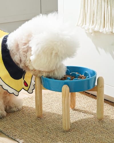 Ceramic Slow Feeder Dog Bowls Elevated (Vortex Blue+Stand / L-3 Cups)